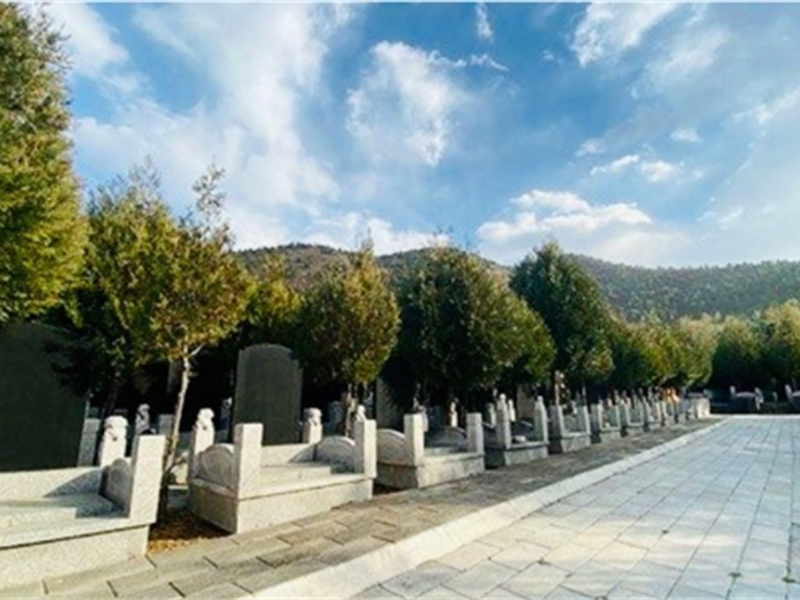 九龙山陵园实景